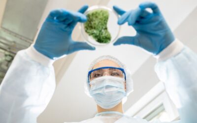 Riscos biológicos: o que são e como prevenir?